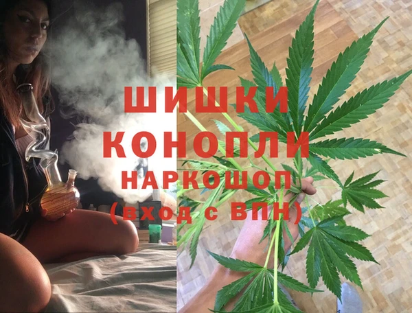 гидра Майский