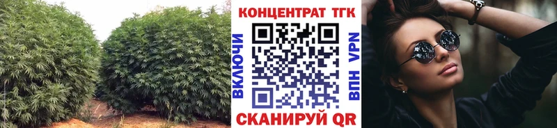 где можно купить   Бобров  Дистиллят ТГК вейп с тгк 